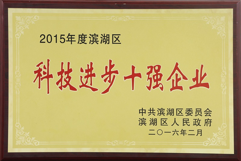 科技進(jìn)步十強(qiáng)企業(yè)